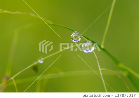 水與光所創造的輝煌 137873317