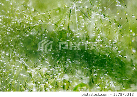 水與光所創造的輝煌 137873318