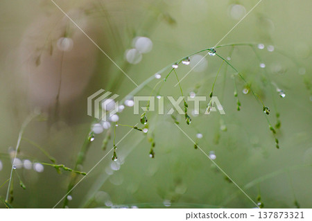 水與光所創造的輝煌 137873321