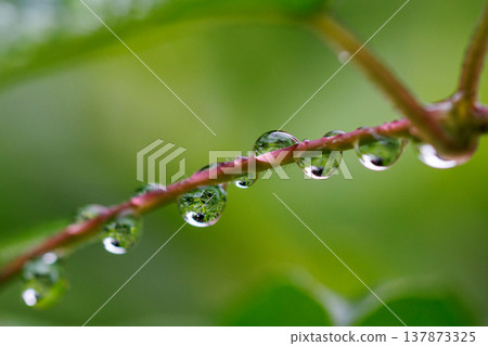 水與光所創造的輝煌 137873325