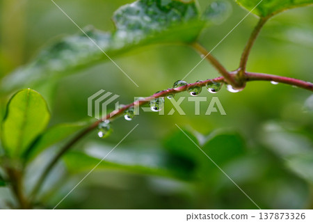 水與光所創造的輝煌 137873326