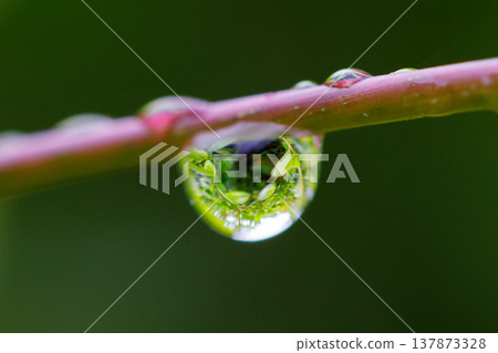 水與光所創造的輝煌 水與光所創造的輝煌 137873328