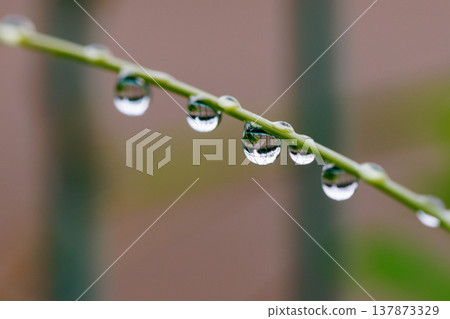 水與光所創造的輝煌 137873329