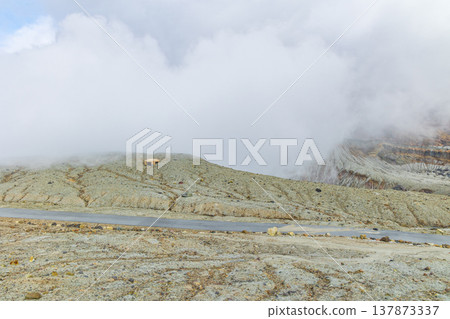 熊本縣阿甦的深秋：阿蘇山中岳火山口周圍。 137873337