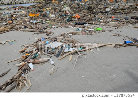 Coastal wreckage Environmental problems Garbage problems Coastal wreckage Environmental problems Garbage problems 137873554
