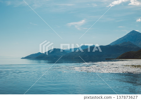 Amazing view of Skadar Lake on a sunny morning. Travel destination in Montenegro. Amazing view of Skadar Lake on a sunny morning. Travel destination in Montenegro. 137873627
