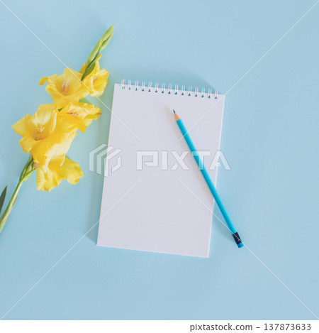 Beautiful yellow Gladiolus flower and a notebook with blank page on a blue background. Beautiful yellow Gladiolus flower and a notebook with blank page on a blue background. 137873633