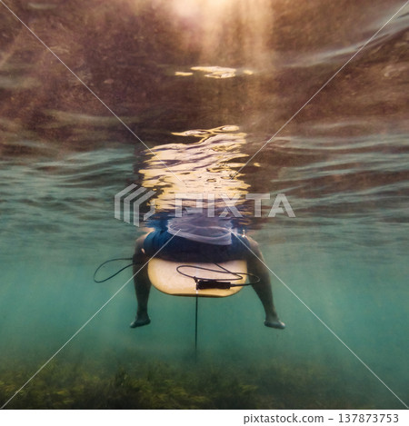 Surfer Anticipates Wave, Athlete Watches Upcoming Swell Patiently Beneath Waves Surfer Anticipates Wave, Athlete Watches Upcoming Swell Patiently Beneath Waves 137873753