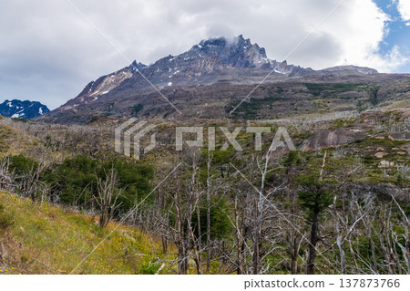 Hiking the W-Trek in Torres Del Paine 137873766