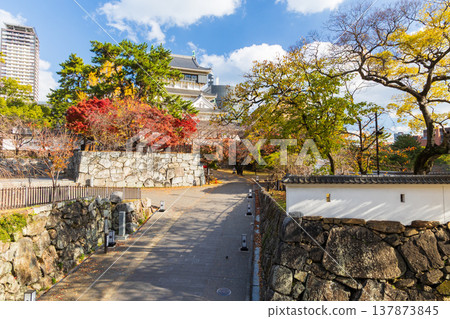 福岡縣北九州的秋天:小倉城的秋葉色彩斑斕。 福岡縣北九州的秋天:小倉城的秋葉色彩斑斕。 137873845
