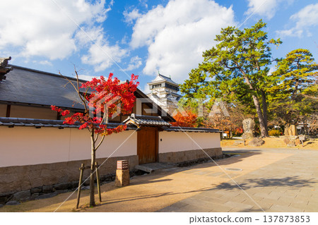 福岡縣北九州的秋天：小倉城的秋葉色彩斑斕。 137873853