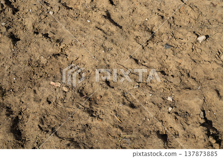 Top-down view of sandy ground dried after rain. Wet land after rain. Top-down view of sandy ground dried after rain. Wet land after rain. 137873885