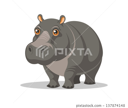 Cute hippopotamus standing on white background. Wildlife animal Illustration. Cute hippopotamus standing on white background. Wildlife animal Illustration. 137874148