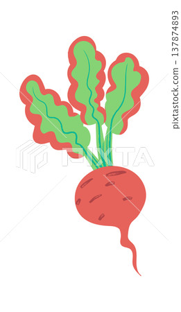 Radish With Leafy Top Cartoon 137874893