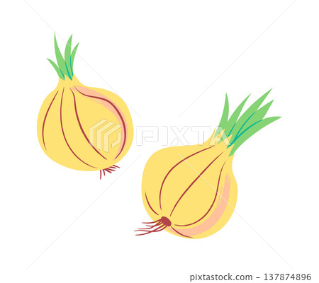 Onion Pair With Sprouts Cartoon 137874896