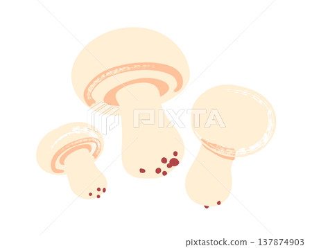 Mushroom Trio Cooking Ingredient Cartoon Mushroom Trio Cooking Ingredient Cartoon 137874903