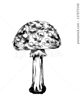 Cautionary Notice Featuring Intricate And Vibrant Depiction Of Potentially Hazardous Mushroom 137875548