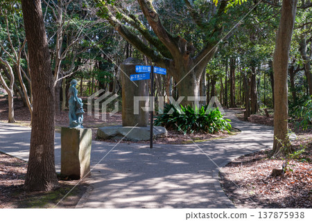 靜岡縣清水町柿田川公園的景色 137875938