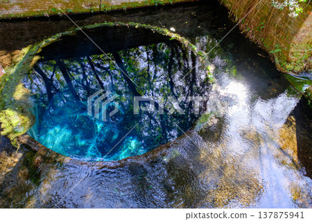 Scenery of Kakitagawa Park in Shimizu Town, Shizuoka Prefecture 137875941