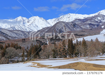 從櫂池高原看到的早春北阿爾卑斯山 從櫂池高原看到的早春北阿爾卑斯山 137876174