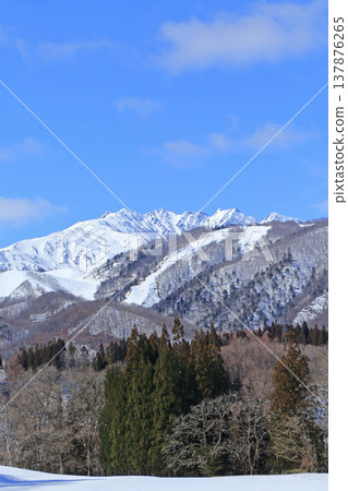 從櫂池高原看到的早春北阿爾卑斯山 137876265