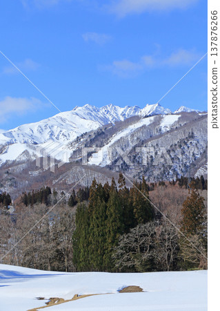 從櫂池高原看到的早春北阿爾卑斯山 137876266