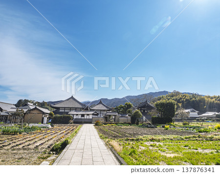 Asuka-dera Temple, Japan's oldest Buddhist temple, stands out against the blue sky. Asuka-dera Temple, Japan's oldest Buddhist temple, stands out against the blue sky. 137876341