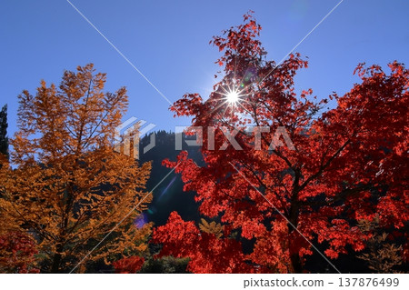 Kuzuryu Lake 137876499