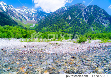 [Spectacular Scenery] Early Summer in Kamikochi: The lush greenery of the Hotaka mountain range and the Azusa River [Nagano Prefecture] 137877005
