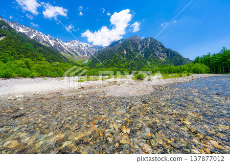 【壯麗景色】上高地初夏：穗高山脈和梓川的蔥鬱綠意【長野縣】 137877012