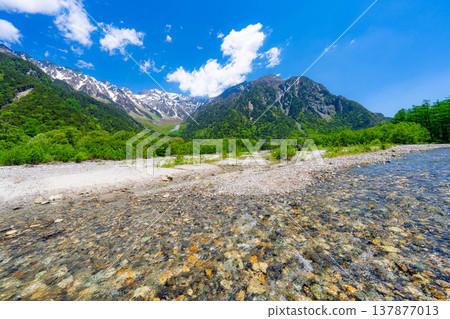 【壯麗景色】上高地初夏：穗高山脈和梓川的蔥鬱綠意【長野縣】 137877013