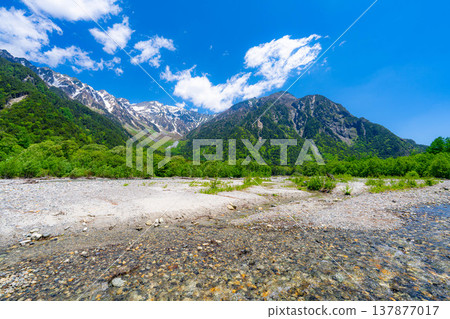 [Spectacular Scenery] Early Summer in Kamikochi: The lush greenery of the Hotaka mountain range and the Azusa River [Nagano Prefecture] 137877017