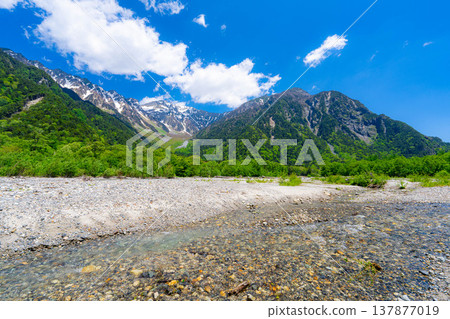 [Spectacular Scenery] Early Summer in Kamikochi: The lush greenery of the Hotaka mountain range and the Azusa River [Nagano Prefecture] 137877019