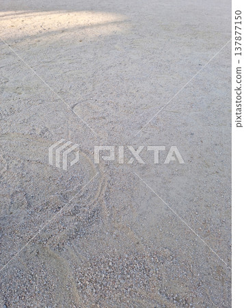 gray Sandy soil texture. Cement floor 137877150