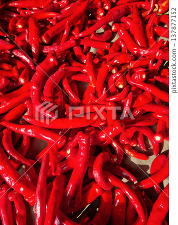 bunch of red hot peppers bunch of red hot peppers 137877152