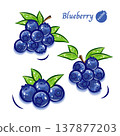 Fresh blueberry illustration | Cute pop art fruit vector material 137877203