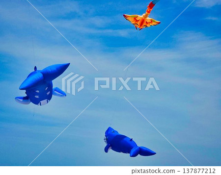 A whale flying through the sky 137877212