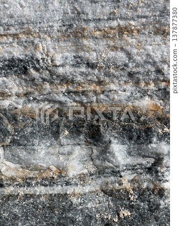 Detailed Geological Features. Striated Rock Displays Mineral Veins And Natural Layering Patterns Clearly 137877380