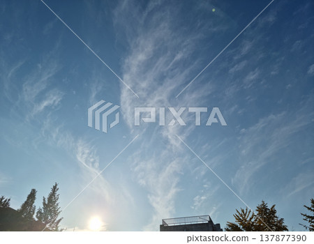 Afternoon sky with feathery clouds. 137877390