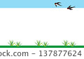 Swallows in flight in a grassland frame illustration material 137877624