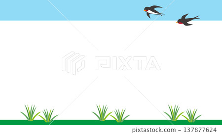 Swallows in flight in a grassland frame illustration material 137877624