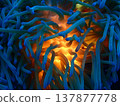 Mysterious sea anemone 137877778