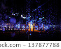 Ashikaga Flower Park Illuminations 137877788