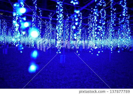 Ashikaga Flower Park Illuminations Ashikaga Flower Park Illuminations 137877789