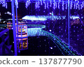 Ashikaga Flower Park Illuminations 137877790