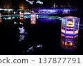 Ashikaga Flower Park Illuminations 137877791