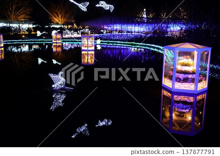 足利花卉公園照明 137877791