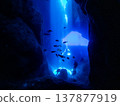 Diver going through a cave 137877919