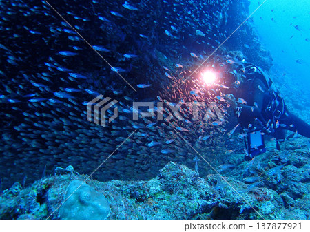 The dynamic topography and divers of the Kerama Sea The dynamic topography and divers of the Kerama Sea 137877921