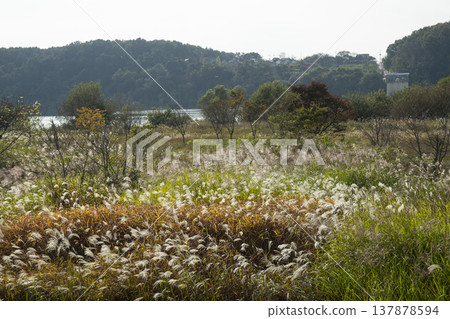 Han River bike path Han River bike path 137878594
